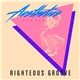 Aesthetics Please - Righteous Groove